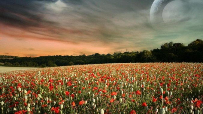 维护一个大型开源项目是怎样的体验？